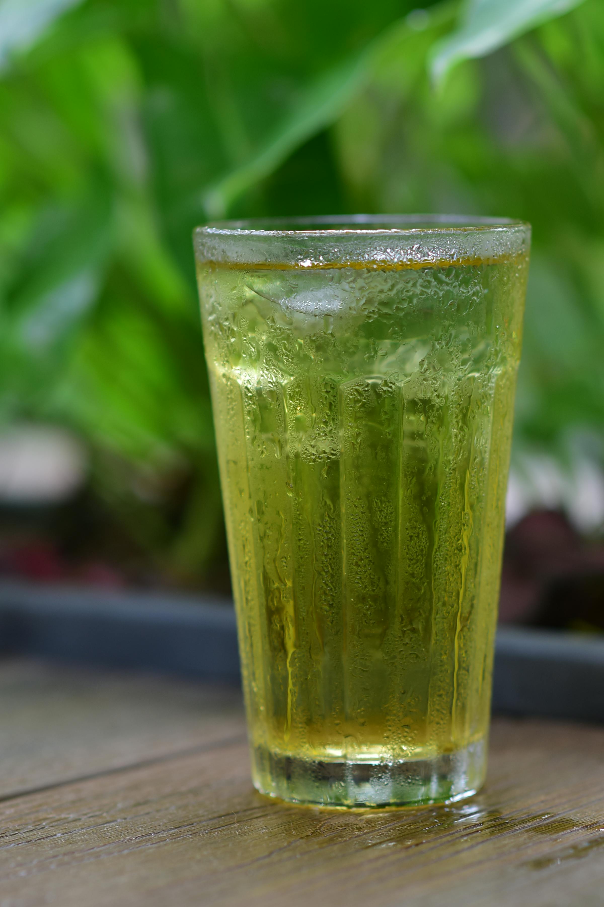 Make fizzy tea with the Fizz Kit: the best iced tea recipes for making at home