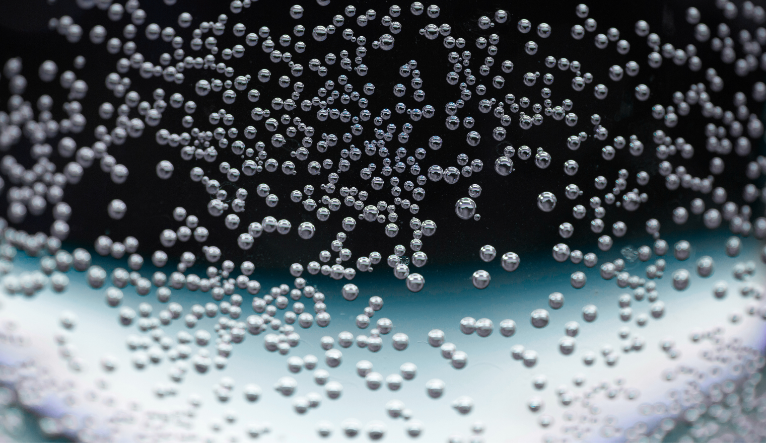 Explore the collection